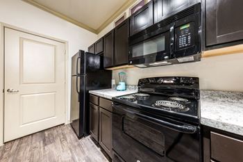 Energy efficient black appliances